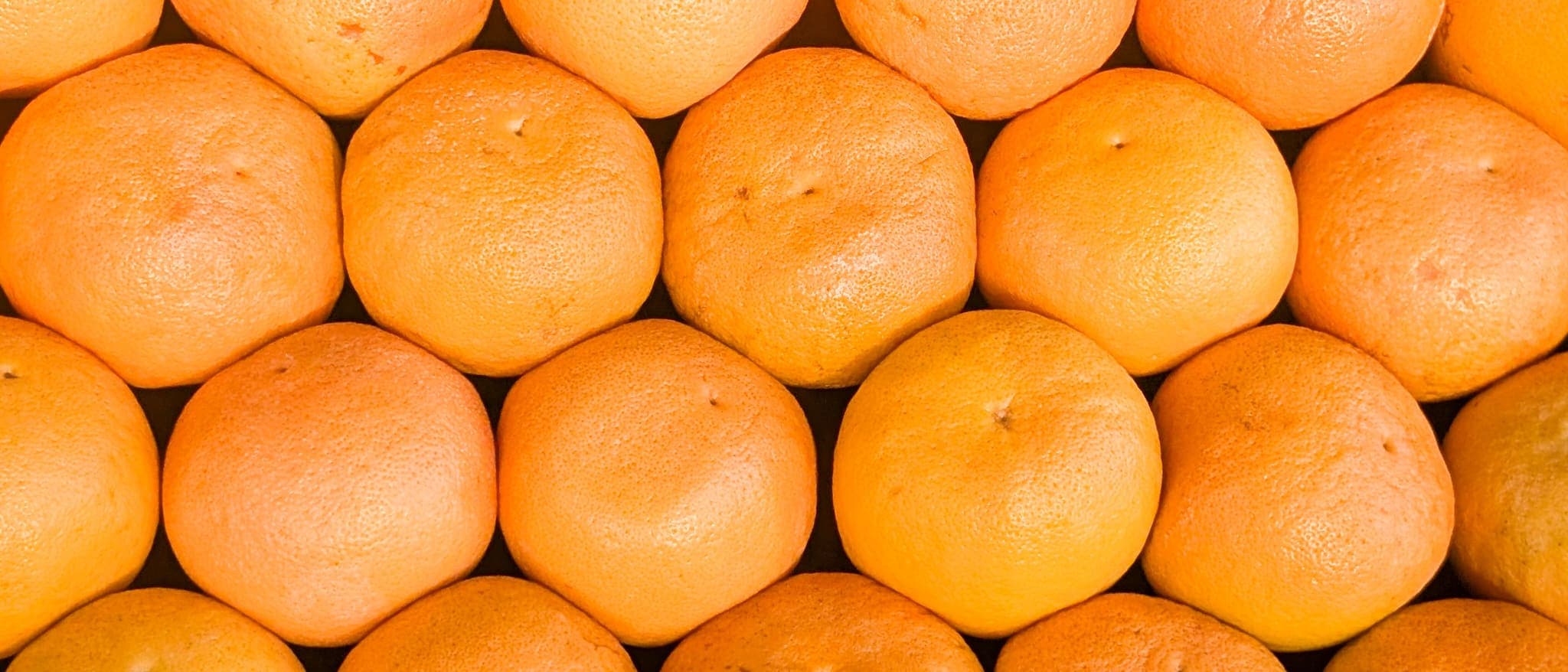 A dense grid of harvested citrus, each piece nearly identical to the next